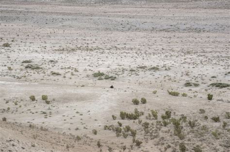 The Aral Sea Has All But Disappeared But In Small Towns And Villages