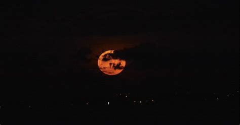 Luna De Ciervo En M Xico Qu Es Cu Ndo Y D Nde Observar Este