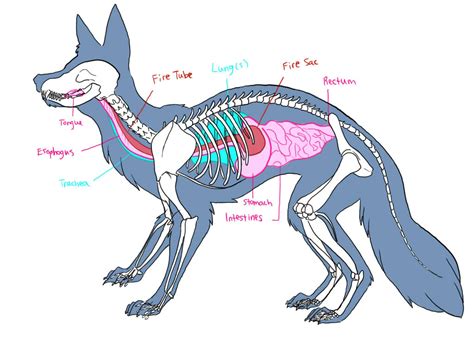 Reproduction - The Red Fox Resource