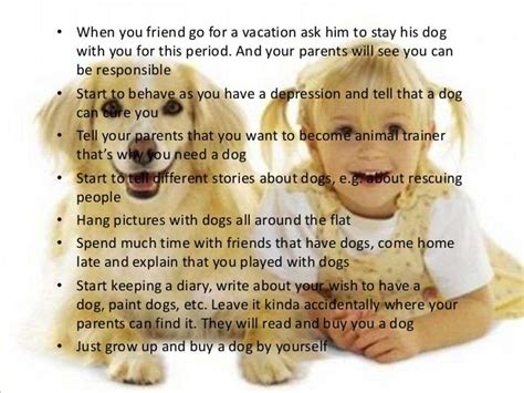 How To Persuade Your Parents To Get A Dog