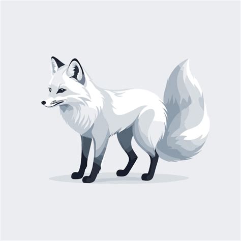 Arctic Fox Snow Over 1 456 Royalty Free Licensable Stock Clip