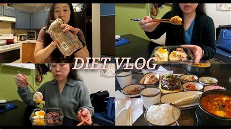 Diet Vlog 고도비만다이어트입터진후 카니라이스도전고기도좋지만탄수도좋은걸다이어트식단what I Eat In A