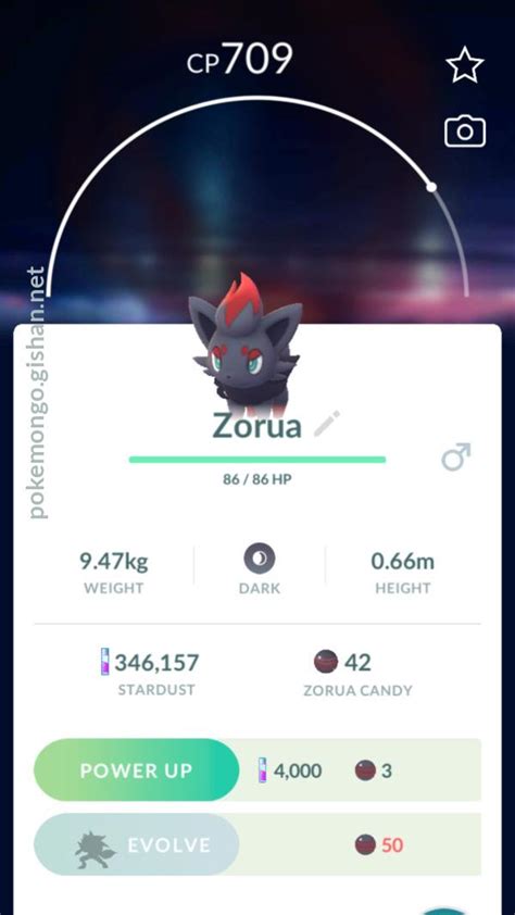 Zorua - Pokemon Go