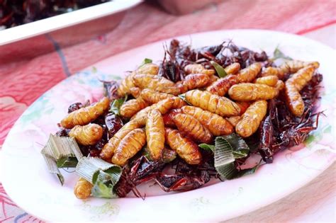 Fried Insect At Street Food Photo Premium Download