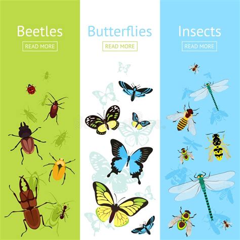 Sistema De La Bandera De Los Insectos Ilustración del Vector