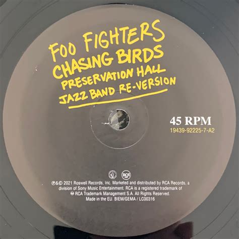 Foo Fighters Making A Fire Mark Ronson Re Version Chasing Birds