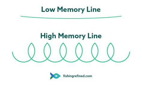 Different Types of Fishing Line Explained