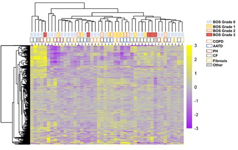 Heatmap Of All Unique Proteins Proteins Detected Using The Proximity Download Scientific