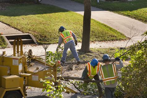 Tree Trimmer Dies After Falling Into Wood Chipper Iheart