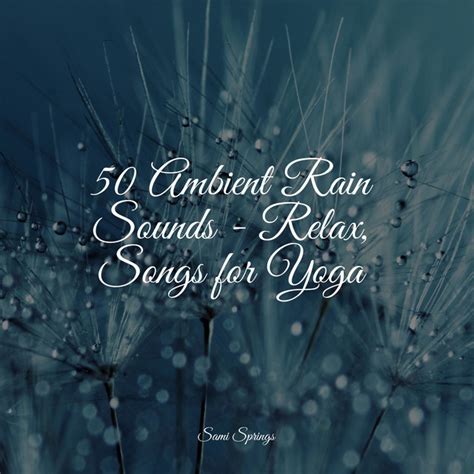 Ambient Rain Sounds Relax Songs For Yoga Album By Natureza