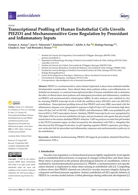 Pdf Transcriptional Profiling Of Human Endothelial Cells Unveils