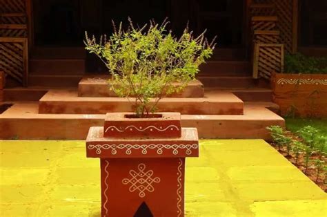 Tulsi Vastu Tips इस दिशा में तुलसी लगाने से खुलता है किस्मत का दरवाजा