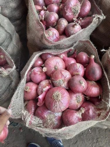 A Grade Maharashtra Fresh Red Onion Gunny Bag Onion Size Available