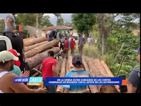 Con Las Manos En La Masa Interceptan Cami N Que Transportaba Madera De