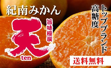 旨味極撰 紀南みかん「天」糖度設定11度 光センサー選別 早生みかん おいしく食べて和歌山モール