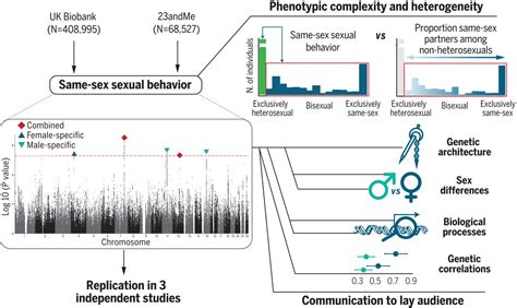 In Case You Still Thought It Was A Thing Another Study Concludes There Is No Gay Gene
