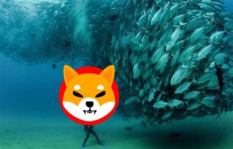 Shiba Coin Son Dakika Haberi Shiba Token Ddialara Yan T Verdi