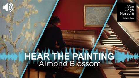 Almond Blossom Van Gogh Bewonder De Pracht Van De Bloei Met Deze