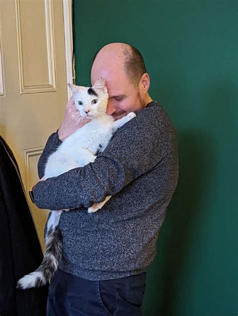 Gato Desaparecido Durante Casi Dos A Os Reunido Con Sus Due Os Gracias