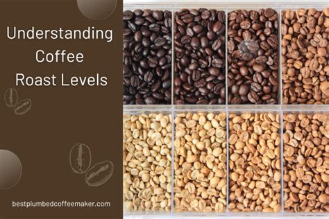 From Light to Dark: Understanding Coffee Roast Levels and How They ...