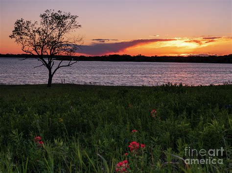 Sunset At Bardwell Lake 2019 Photograph By Teri Adsit Fine Art America