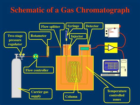 Draw A Schematic Diagram Of A Gas Chromatograph Chromatograph Injection Carrier Detector