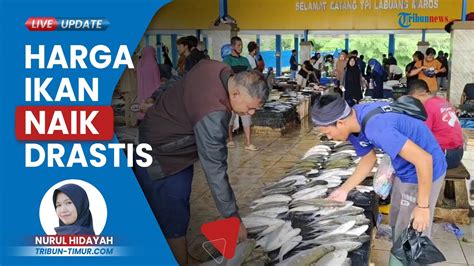 Harga Ikan Laut Di Tempat Pelelangan Ikan Labuang Maros Melambung