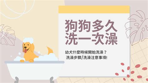 狗狗多久洗一次澡？洗澡頻率、水溫、步驟，學會就能自己幫狗狗美容啦！ 預約怪獸