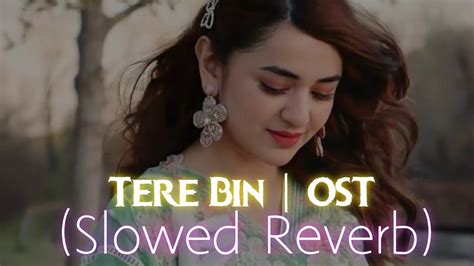 Tere Bin Ost {slowed Reverb} Wahaj Ali Yumna Zaidi Youtube