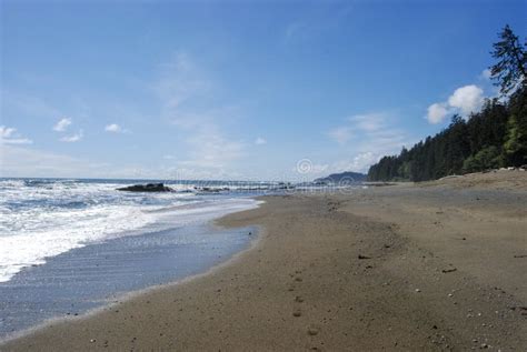 Ocean Waves Crash Along A Remote Beach On The West Coast Trail