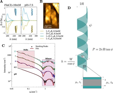 A Circular Dichroism Spectra For C 16 K Molecular Assemblies In