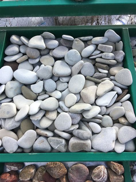 Купить Галька камень морской Черноморский /тн online с доставкой, цена ...