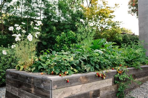 How To Design A Gorgeous Edible Garden Photos Architectural Digest