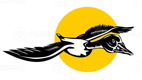 Free Mallard Duck Goose Flying 13869467 Png With Transparent Background