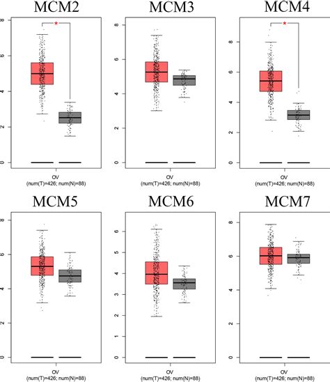 Frontiers Systemic Analysis Of The Dna Replication Regulator Mcm