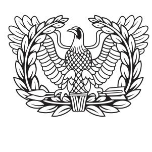 Buy Warrant Officer Eagle Rising Svg Png Online In Usa