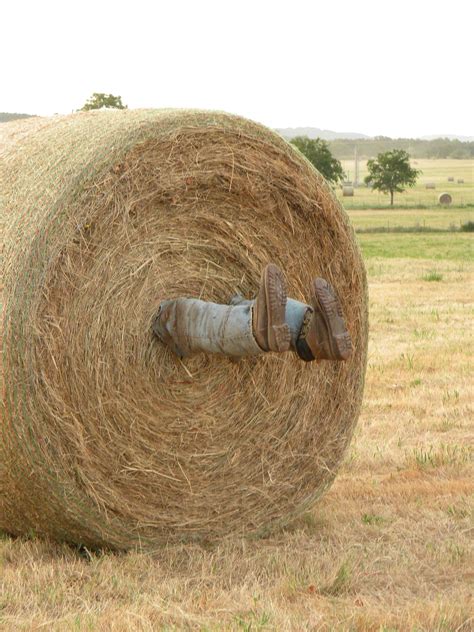 When Were Round Hay Bales Invented at Ronald Wray blog