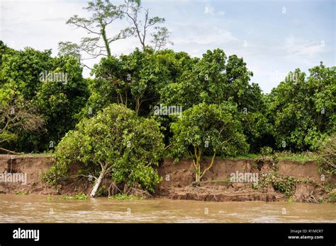 River Bank Erosion Stock Photos & River Bank Erosion Stock Images - Alamy