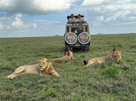 Best Tanzania Safari Tours Packages