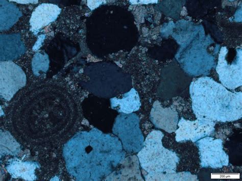 Calcite Thin Section