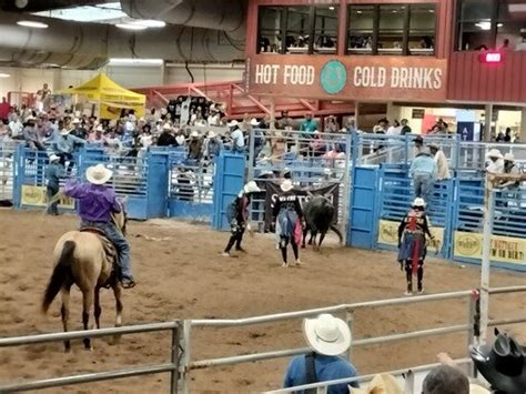 Arizona Black Rodeo Ropes In Thousands Of Fans Daily Independent