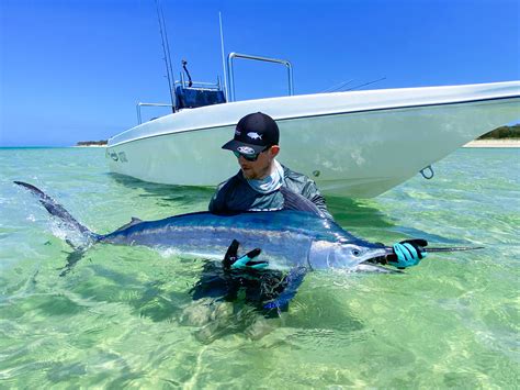 Dia Mundial da Pesca a importância da atividade e da sustentabilidade