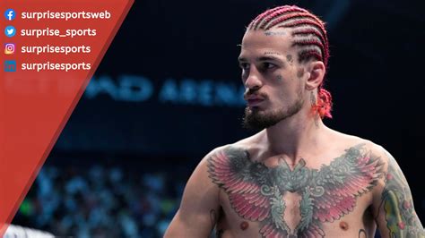 Sean OMalley Net Worth, Career, and Earnings Details - SurpriseSports