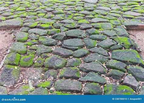 Musgo Verde No Caminho Da Velha Pedra Foto De Stock Imagem De Musgo