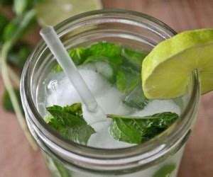 C Mo Hacer Mojito Pasos Recetas Doncomos