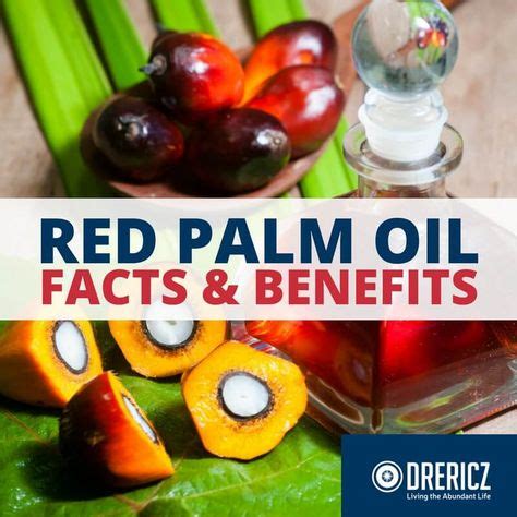 10+ Palm oil benefits ideas | palm oil benefits, palm oil, oils