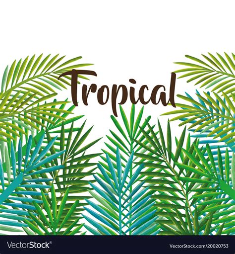 Tropical And Exotic Palms Leafs Royalty Free Vector Image