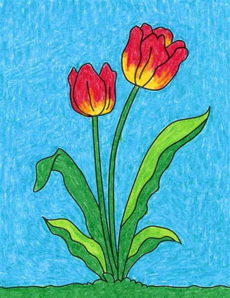 Easy How To Draw A Tulip Tutorial Video And Tulip Coloring Page