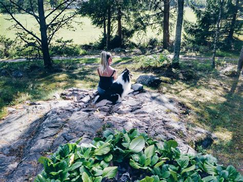 Learn From The Happiest Country in the World in 2025