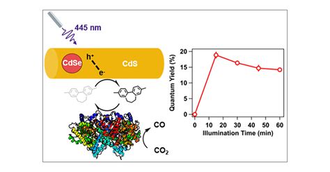 Efficient Light Driven Reduction Of CO2 To CO By A Carbon Monoxide